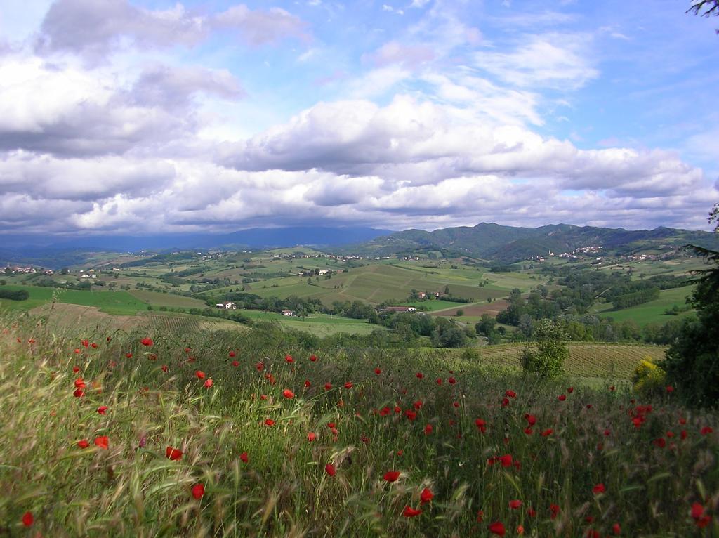 Villa Dei Romaniani Villaromagnano Exteriér fotografie