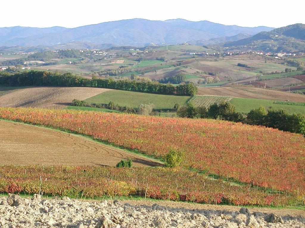 Villa Dei Romaniani Villaromagnano Exteriér fotografie